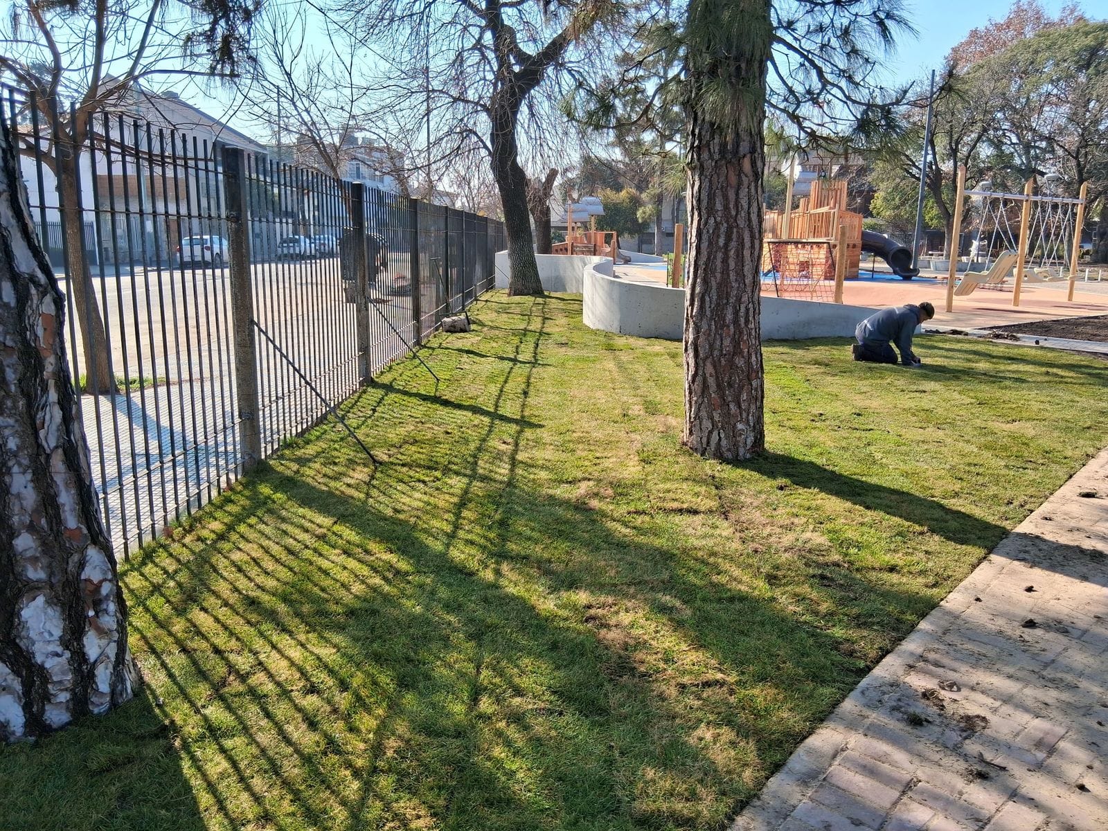 Colocación de césped natural en panes en una plaza